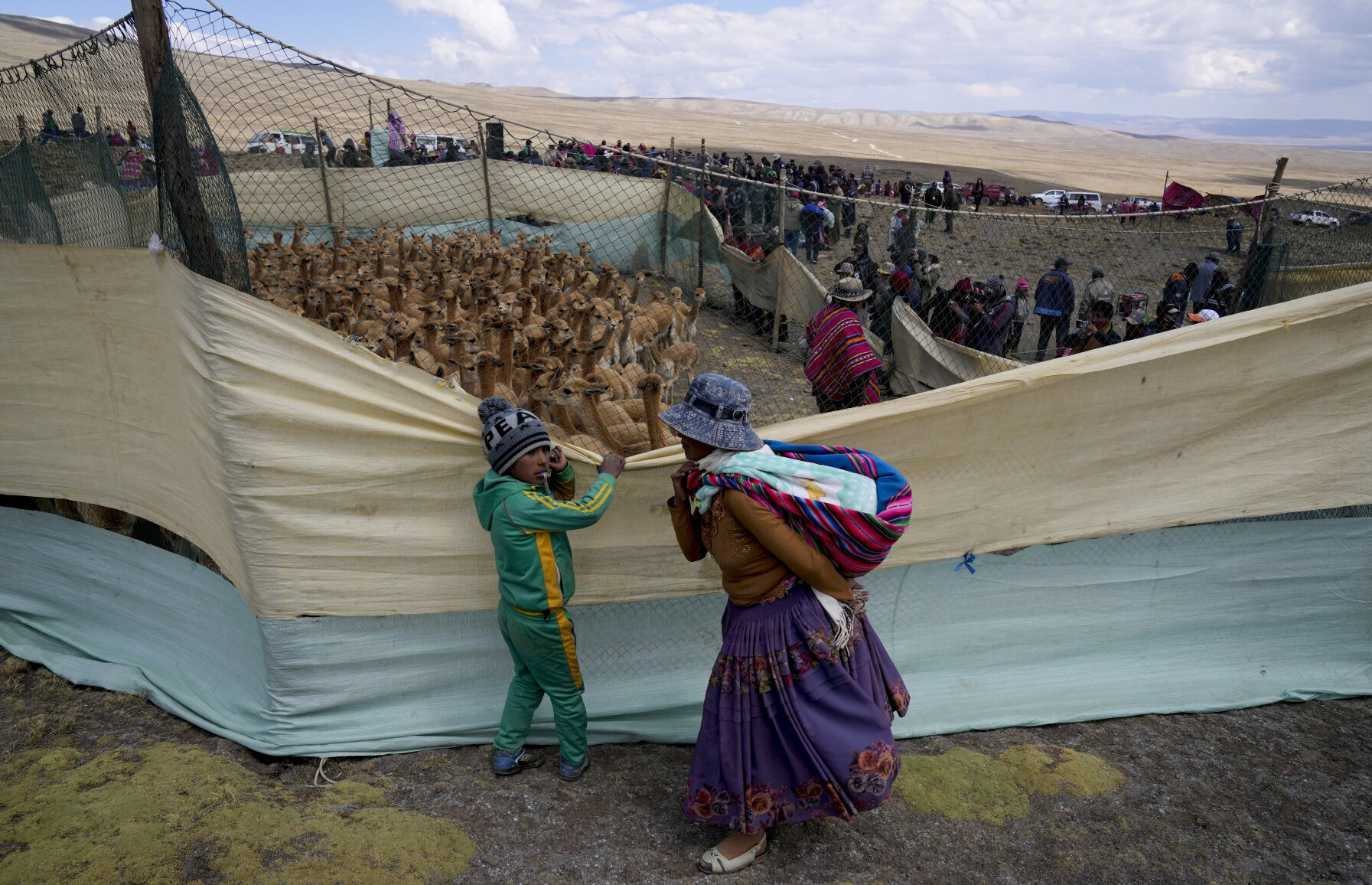 APTOPIX Bolivia Vicuña